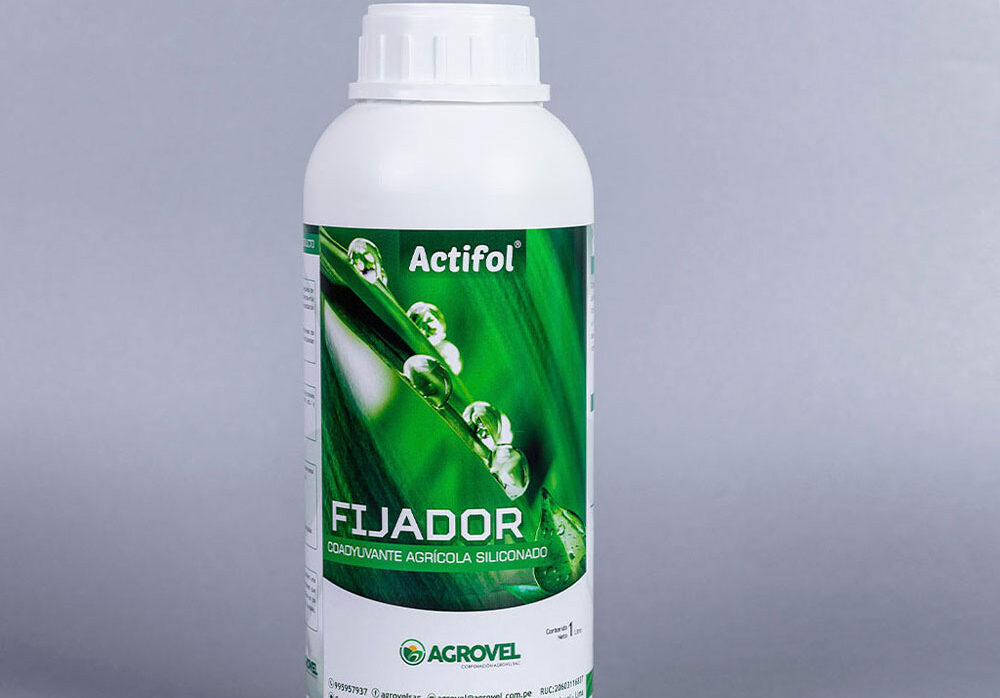 Actifol Fijador