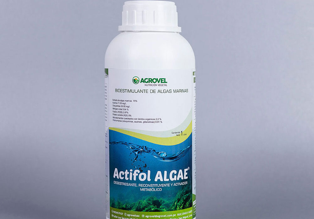 Actifol Algae