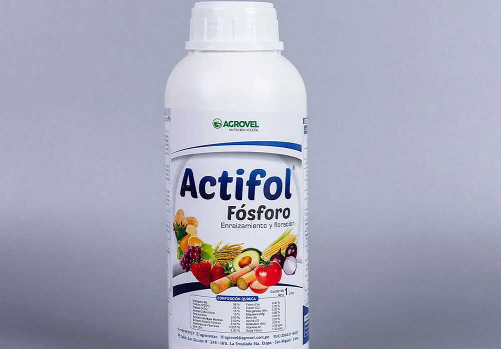 Actifol Fósforo