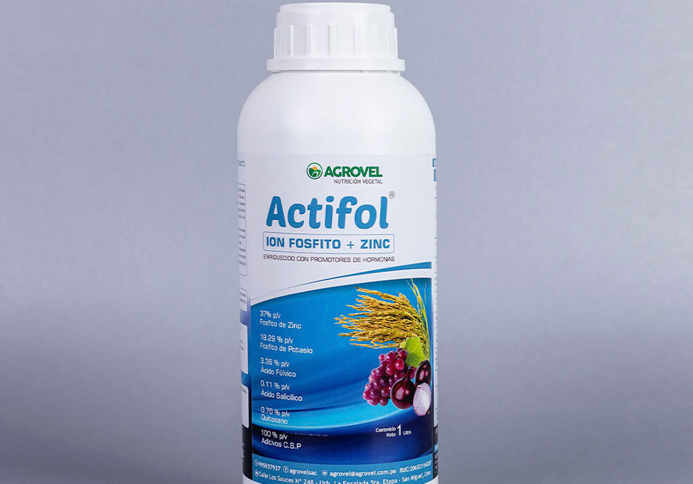 Actifol Ion Fosfito + Zinc